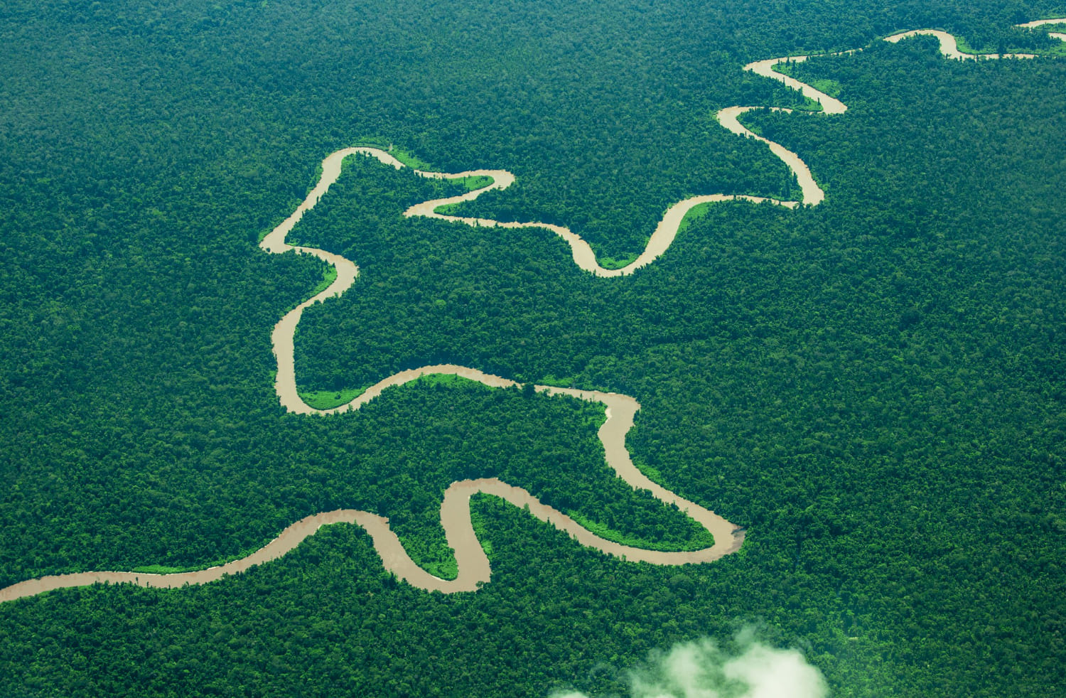 bird s eye view new guinea jungle beautiful shape river that flows through jungle new guinea indonesia 1