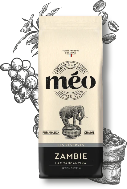 cafe zambie