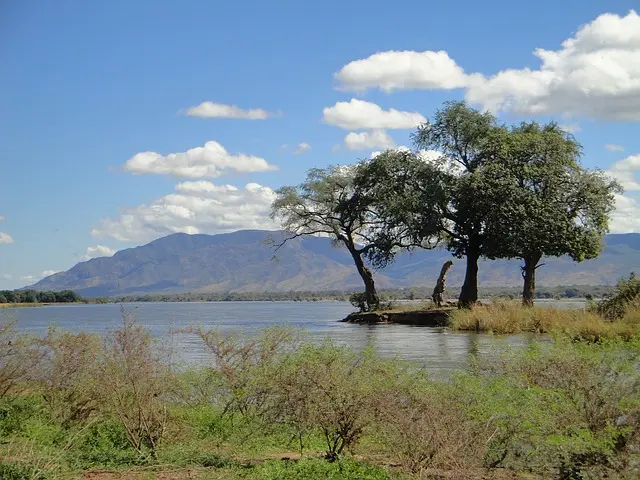 paysage Zambie