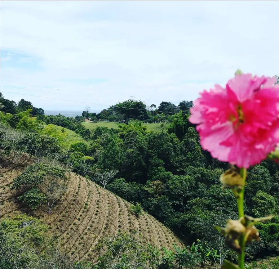 finca paisaje el paraiso 1