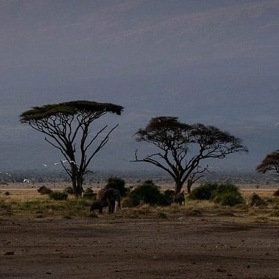 africa 4055169 1280