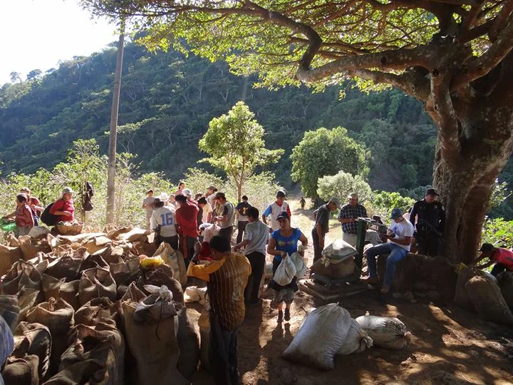 weighing the coffee