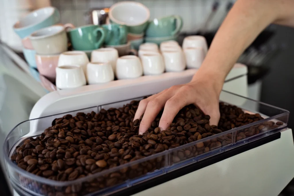 Barista remplissant de grains une cafetière automatique 