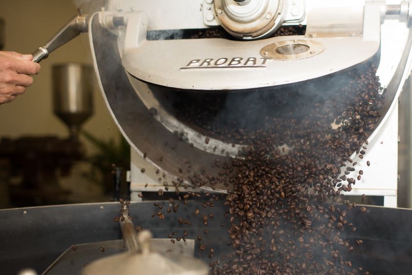 grains de café versés d'une machine à torréfier probat dans un récipient, avec de la vapeur visible.