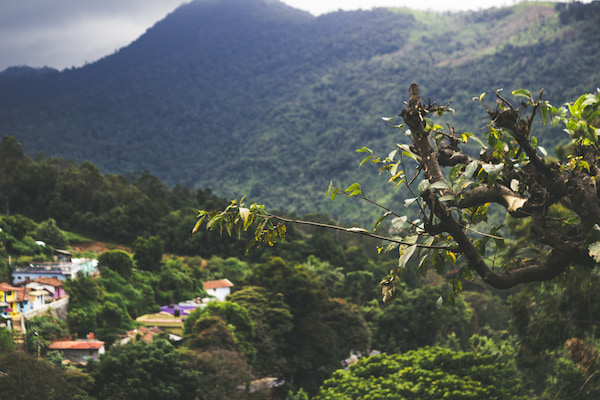 une branche d'arbre au premier plan avec vue sur un petit village et des montagnes denses et vertes en arrière plan sous un ciel nuageux.