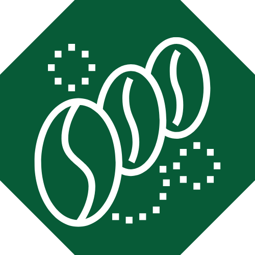 trois grains de café délimités par des éléments décoratifs en pointillés sur un fond octogonal vert foncé.