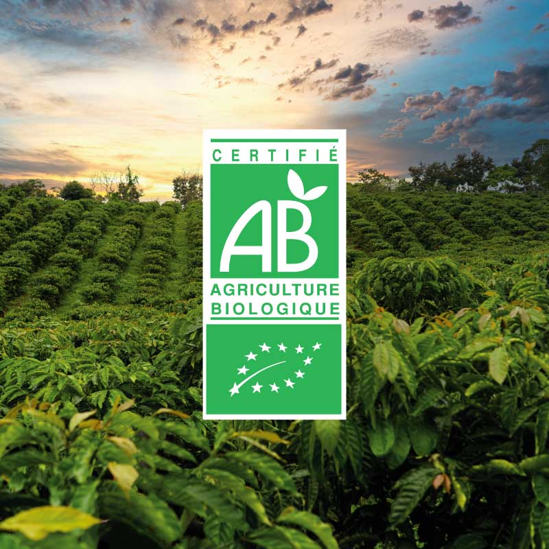 logo de la certification "ab agriculture biologique" superposé à un champ verdoyant au coucher du soleil, indiquant la conformité à l'agriculture biologique.