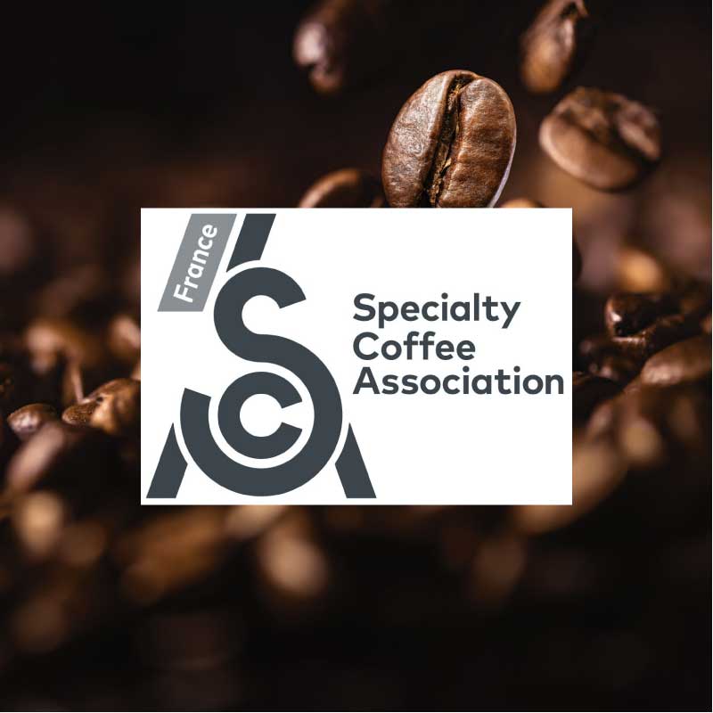 le logo de la specialty coffee association france est affiché sur un fond flou de grains de café.