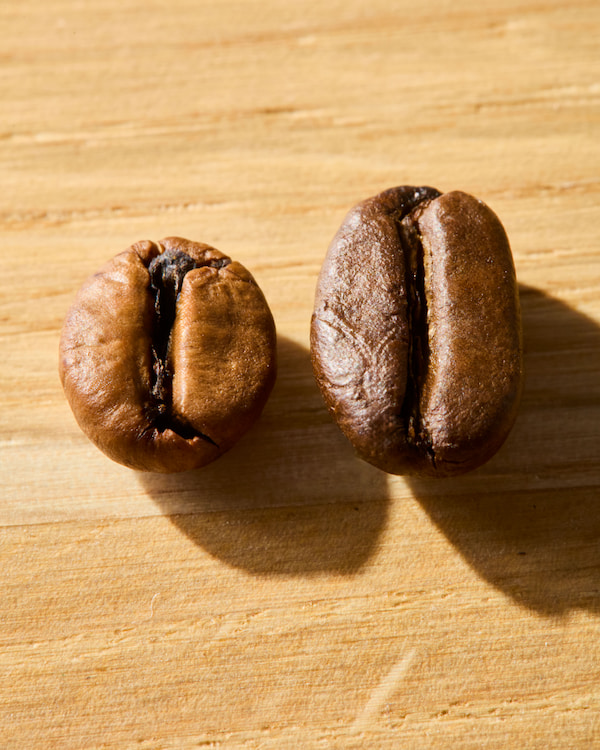 deux grains de café torréfiés sur une surface en bois, l'un plus clair et plus rond à gauche, l'autre plus foncé et plus ovale à droite, tous deux projetant des ombres.